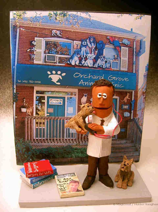 Veterinarian Figurine