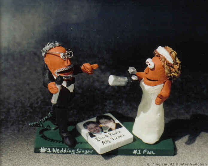 Wedding Cake Topper for Musician and Photographer